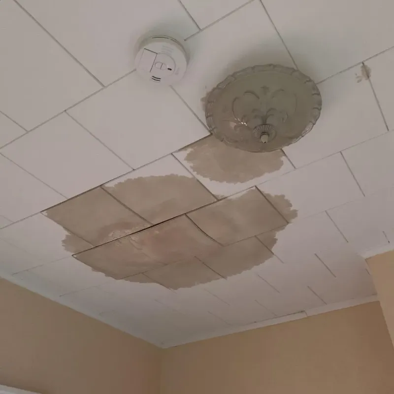 Ceiling Water Damage Repair in Cold Spring, MN