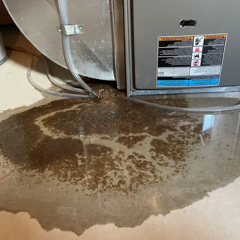 Pipe Burst and Leak Restoration in Cold Spring, MN